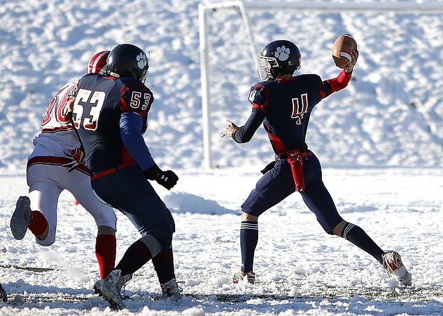 往往能对皇 往往能对皇