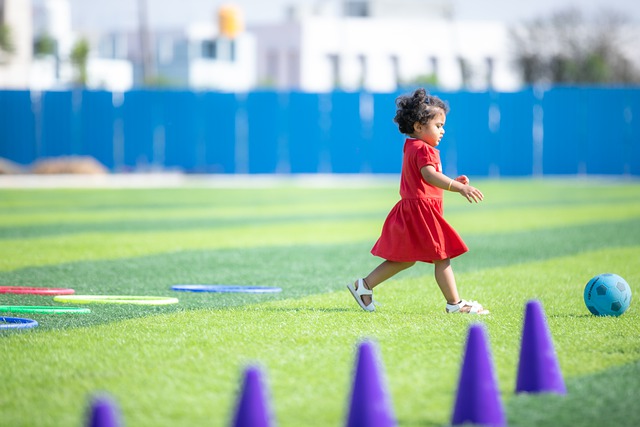 赛的数据可 赛的数据可