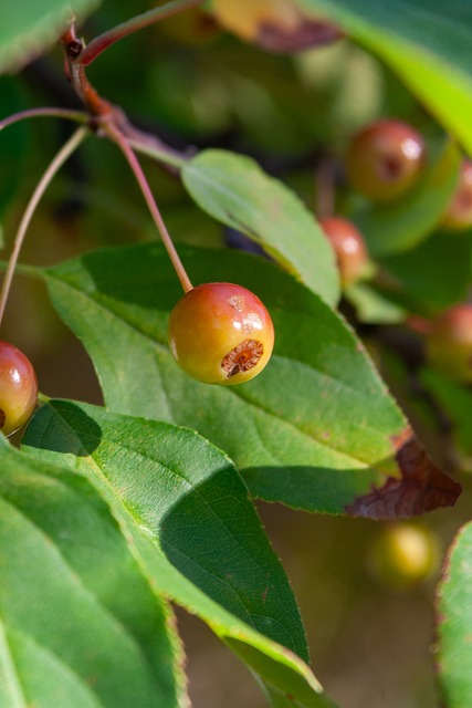 了解这些迹 了解这些迹