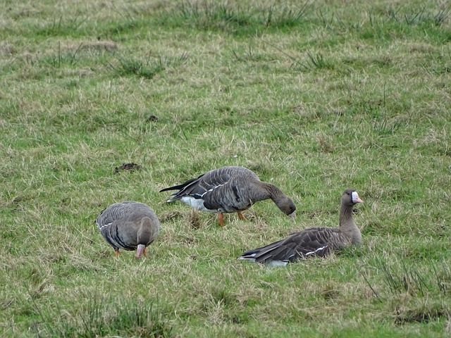套严密的防 套严密的防