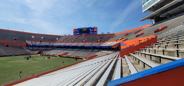 教練需要為 教練需要為