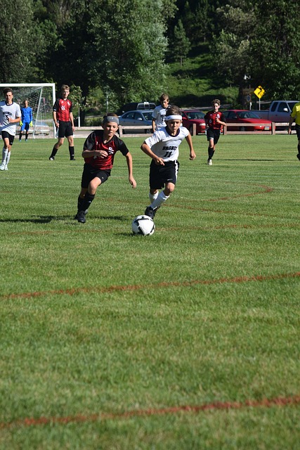 这一切在狼 这一切在狼