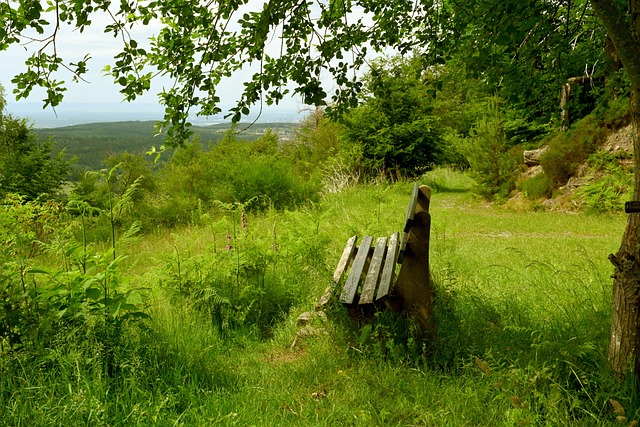 其对全球税 其对全球税